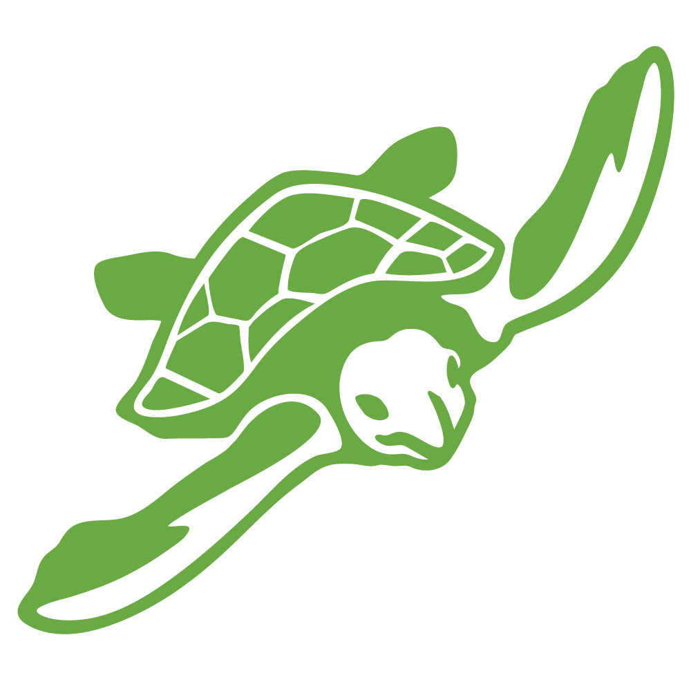 Green tortoise sticker