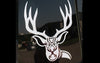 301 Mule Deer Sticker  6" x  6"