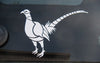 307 Perched Pheasant Sticker  6" x  6"