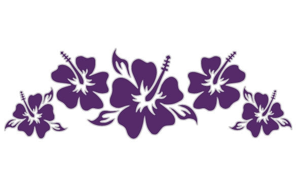 A671 - Set di adesivi per auto, motivo: Hibiskus Swirl, 4 pezzi, 60 cm x 47 cm, grigio (in 49 colori/2 misure A671 - Set di adesivi per auto, motivo: Hibiskus Swirl, 4 pezzi, 60 cm x 47 cm, grigio (in 49 colori/2 misure